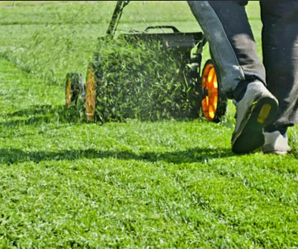 Local yard cleanup service in Pekin, IL by Royalty's Lawn Care