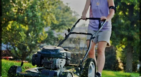 Royalty's Lawn Care Logo