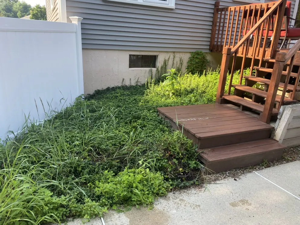 Professional yard maintenance for beautiful yards in Medway, MA by Roycroft Landscape