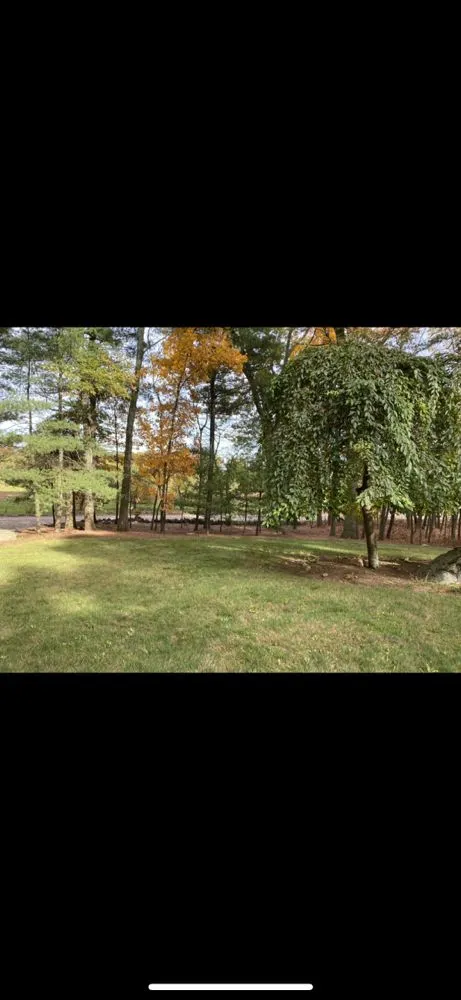 Expert yard cleanup service in Medway, MA by Roycroft Landscape