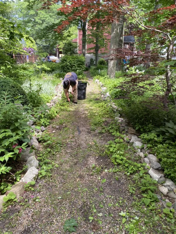 Local lawn mowing service experts serving Medway, MA - Roycroft Landscape