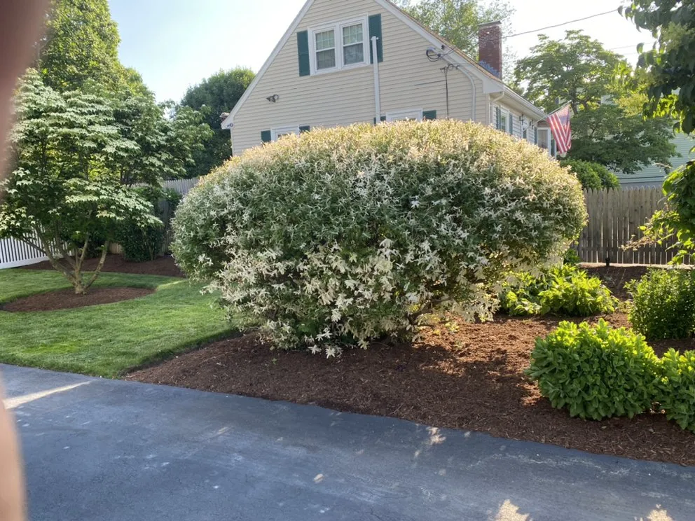 Expert residential landscaping in Medway, MA by Roycroft Landscape