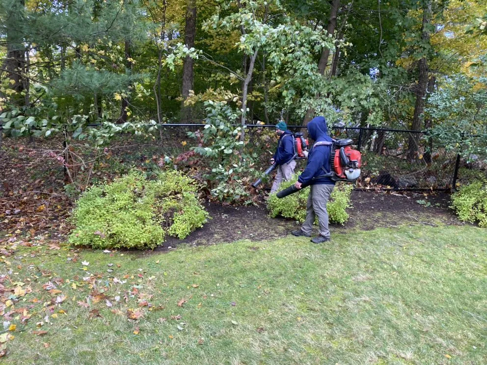 Local lawn care service for outdoor upgrades in Medway, MA by Roycroft Landscape