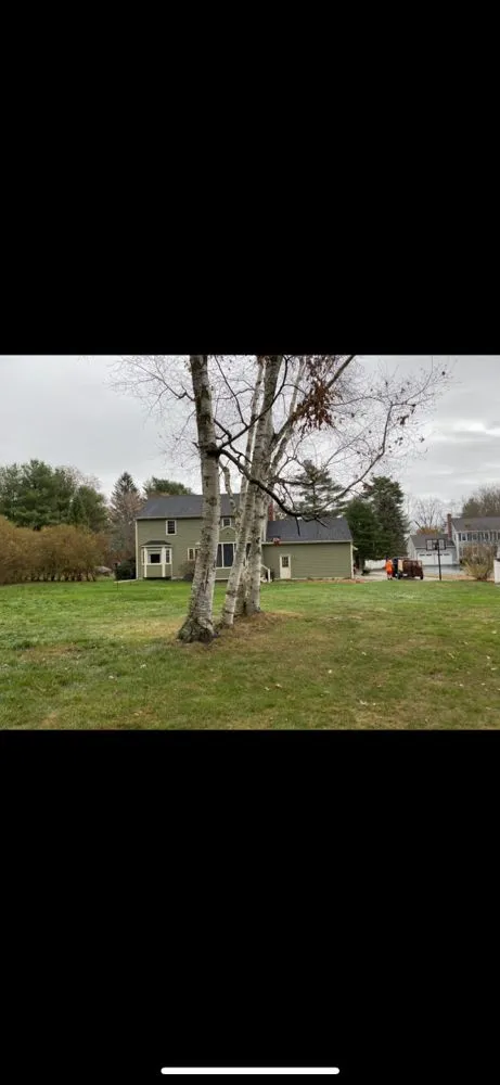 Expert landscape design near you in Medway, MA by Roycroft Landscape