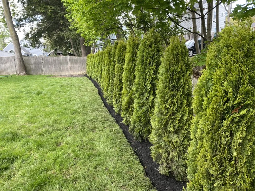 Top-rated landscaping services for beautiful yards across Medway, MA - Roycroft Landscape