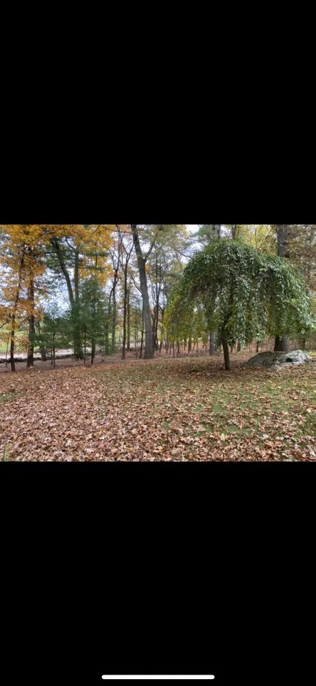 Reliable landscaping services for homes across Medway, MA - Roycroft Landscape