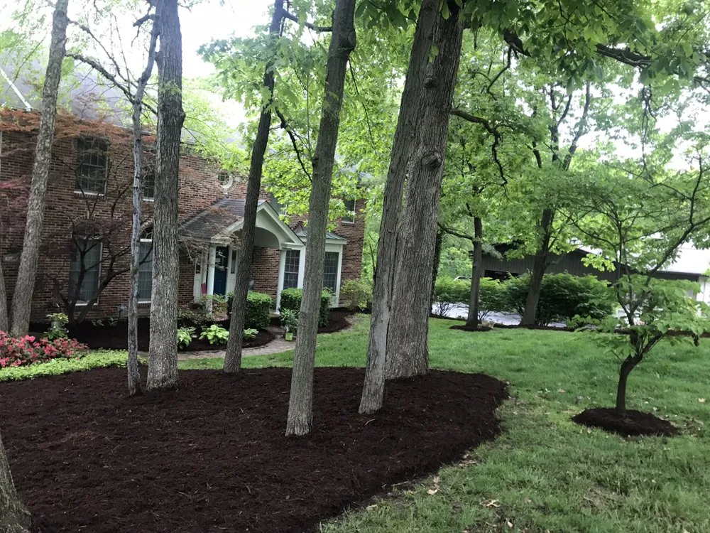 Professional yard maintenance for beautiful yards across Sainte Genevieve, MO - Roys Hauling and Landscaping