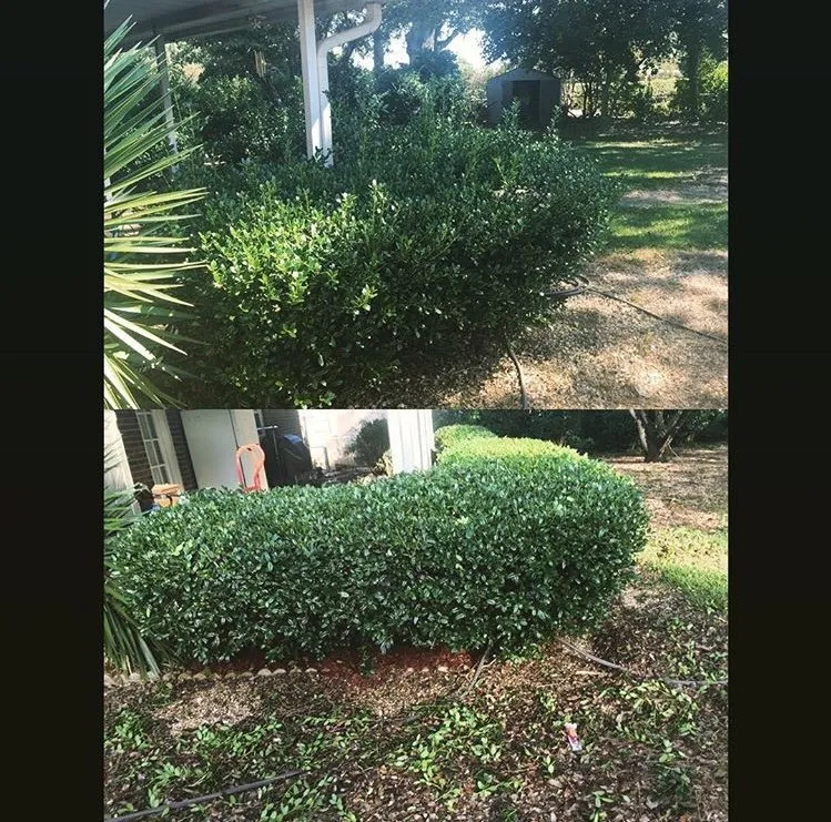 Expert landscape installation in Prattville, AL by Roy's Landscaping & Lawncare