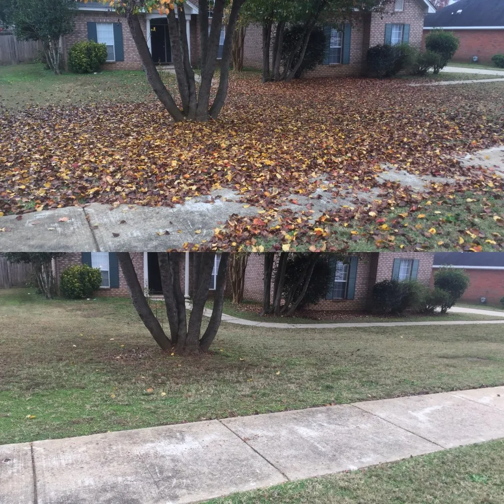Top-rated yard maintenance in Prattville, AL - Roy's Landscaping & Lawncare
