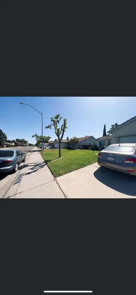 Reliable yard maintenance experts serving Stockton, CA - Roy’s Landscaping Maintenance