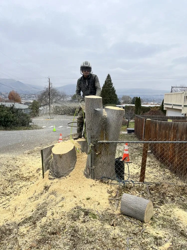 Reliable yard cleanup service for year-round maintenance across East Wenatchee, WA - Roys Lawn Care and Snow Plowing