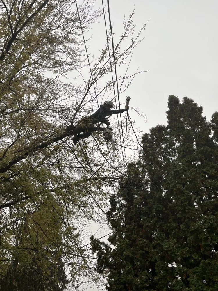 Custom yard maintenance in East Wenatchee, WA - Roys Lawn Care and Snow Plowing