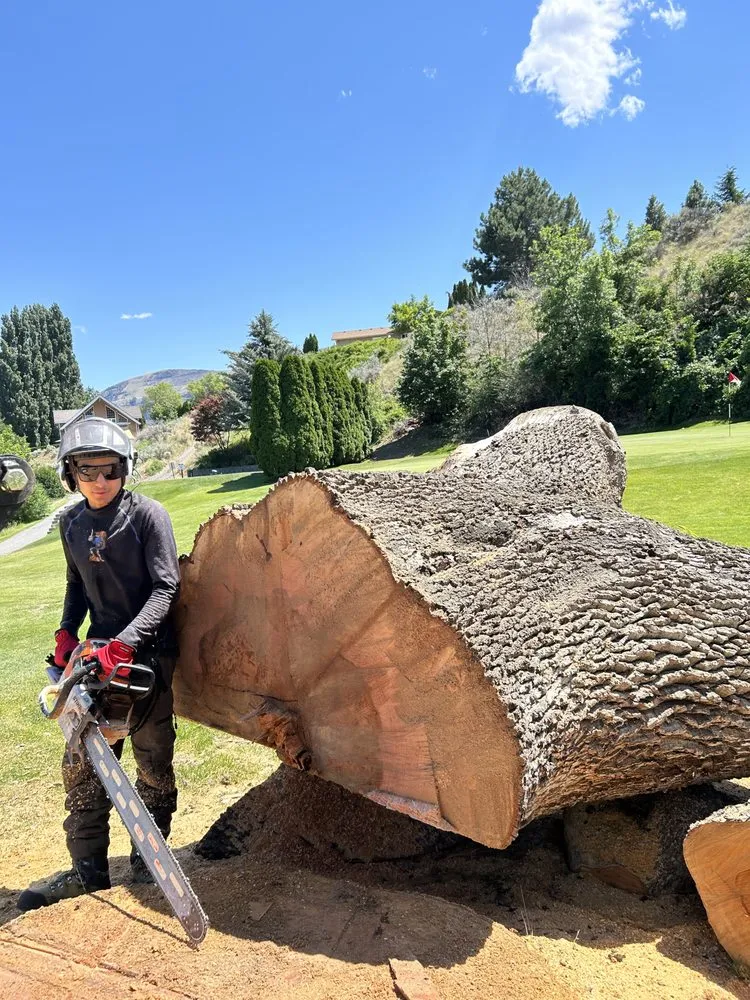 Professional residential landscaping in East Wenatchee, WA by Roys Lawn Care and Snow Plowing