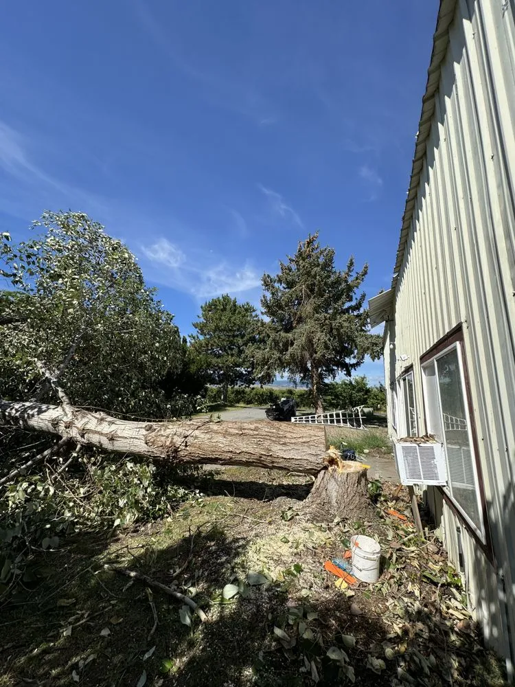 Affordable landscape design for year-round maintenance in East Wenatchee, WA by Roys Lawn Care and Snow Plowing