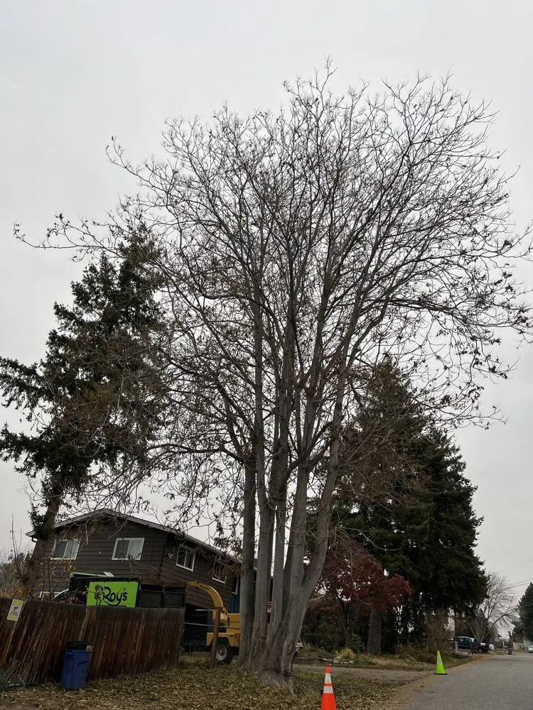 Professional garden landscaping for outdoor upgrades in East Wenatchee, WA by Roys Lawn Care and Snow Plowing