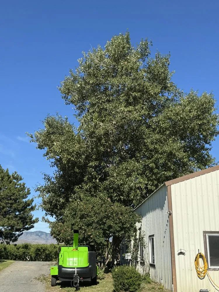 Reliable lawn care service for homes in East Wenatchee, WA by Roys Lawn Care and Snow Plowing