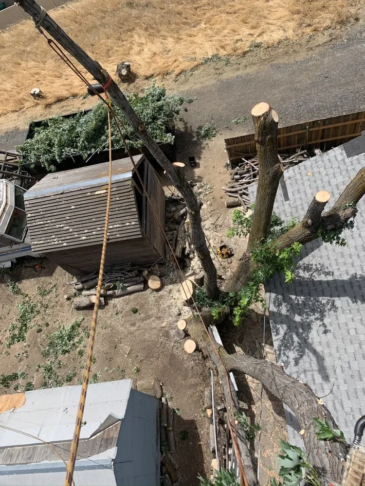 Local lawn care service experts serving East Wenatchee, WA - Roys Lawn Care and Snow Plowing