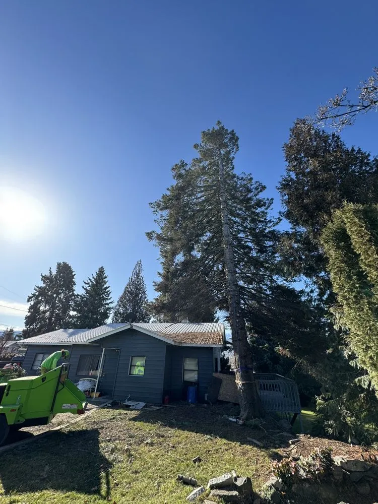 Custom yard maintenance experts serving East Wenatchee, WA - Roys Lawn Care and Snow Plowing