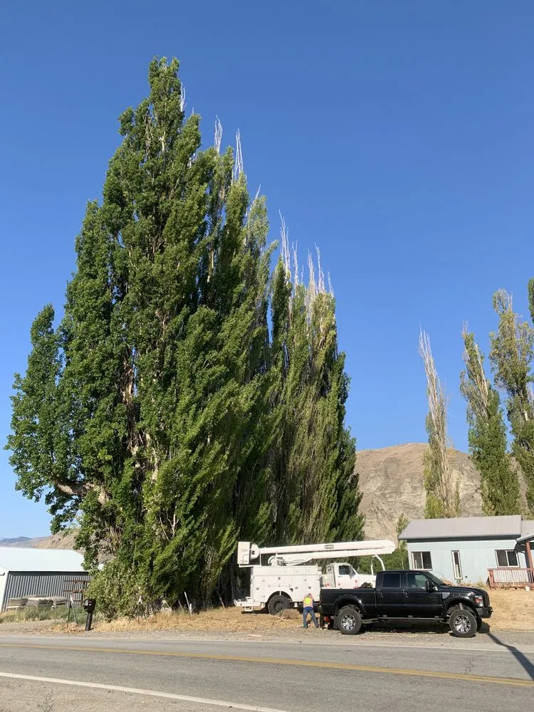 Trusted residential landscaping near you across East Wenatchee, WA - Roys Lawn Care and Snow Plowing