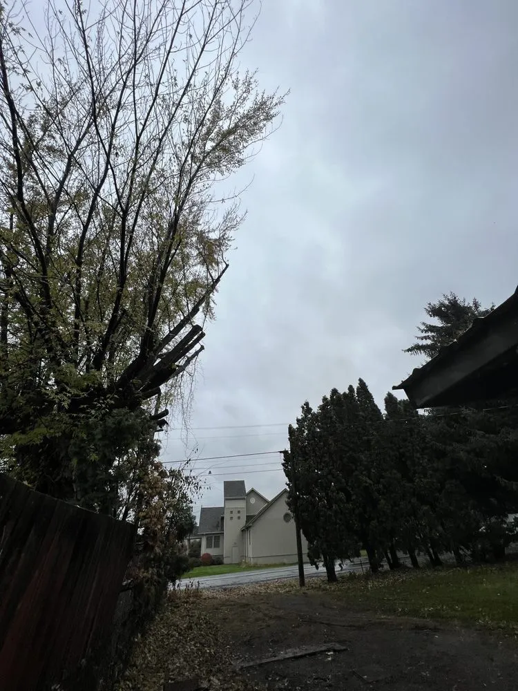 Reliable lawn care service experts serving East Wenatchee, WA - Roys Lawn Care and Snow Plowing