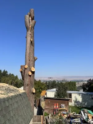 Roys Lawn Care and Snow Plowing