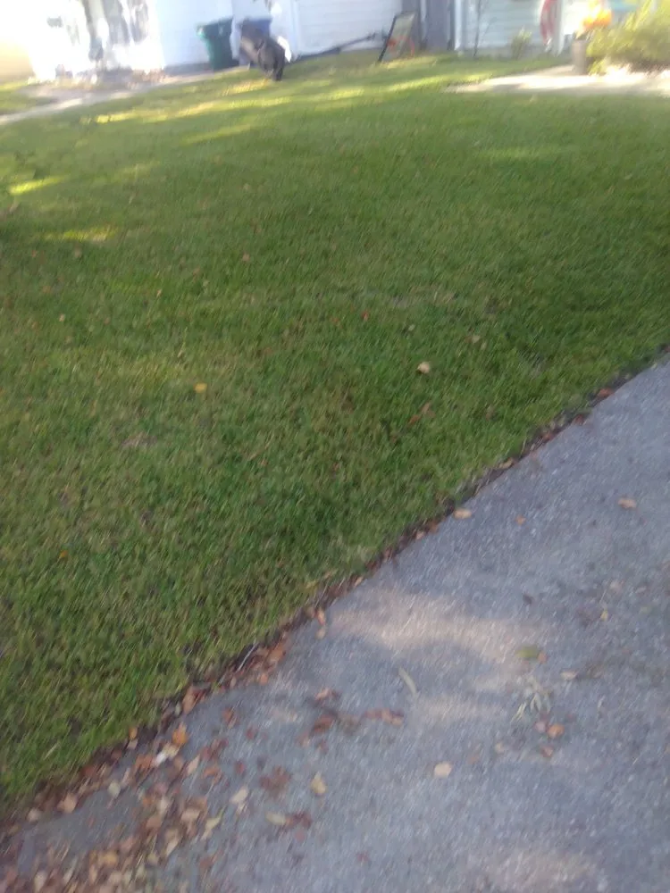 Professional lawn care service experts serving Newport News, VA - Roy's Lawn Care