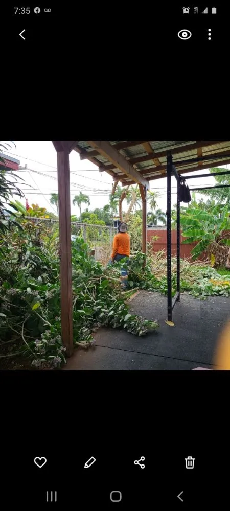 Trusted yard maintenance in Mililani, HI by Roy's Lawn Mowing & Yard Services