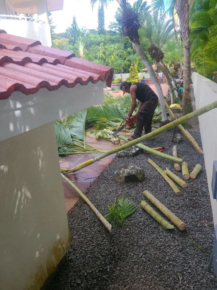 Reliable landscape installation for beautiful yards across Mililani, HI - Roy's Lawn Mowing & Yard Services