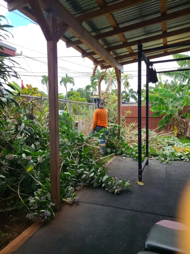 Trusted lawn care service for residential properties in Mililani, HI by Roy's Lawn Mowing & Yard Services