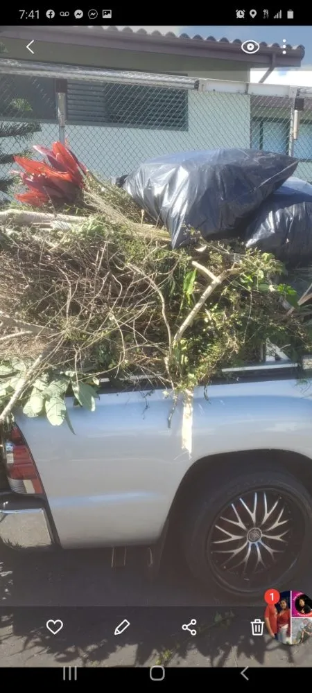 Affordable yard cleanup service for residential properties across Mililani, HI - Roy's Lawn Mowing & Yard Services