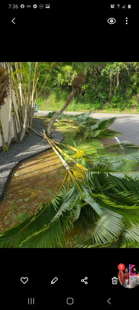 Top-rated landscape installation for outdoor upgrades in Mililani, HI by Roy's Lawn Mowing & Yard Services
