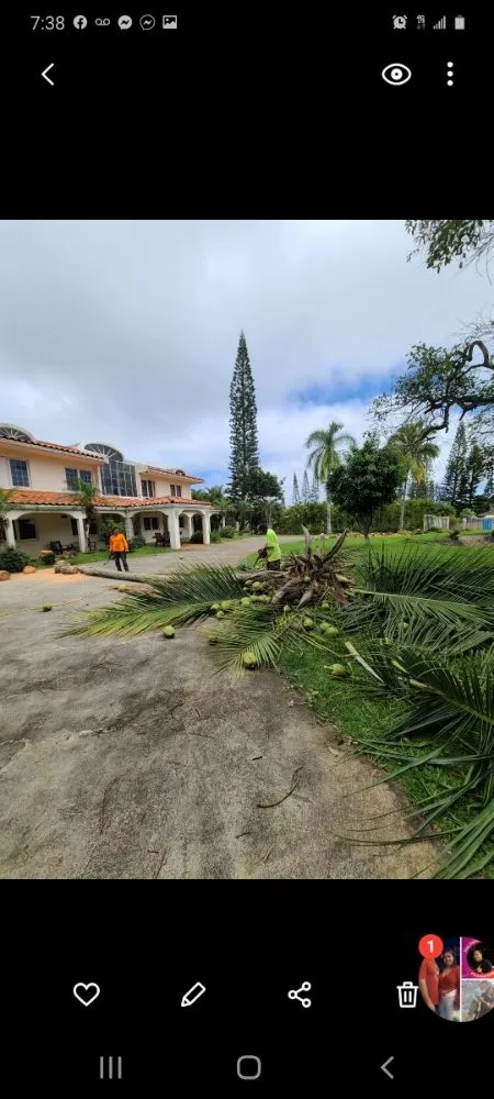 Expert landscape installation in Mililani, HI by Roy's Lawn Mowing & Yard Services