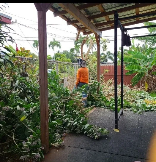 Reliable residential landscaping experts serving Mililani, HI - Roy's Lawn Mowing & Yard Services