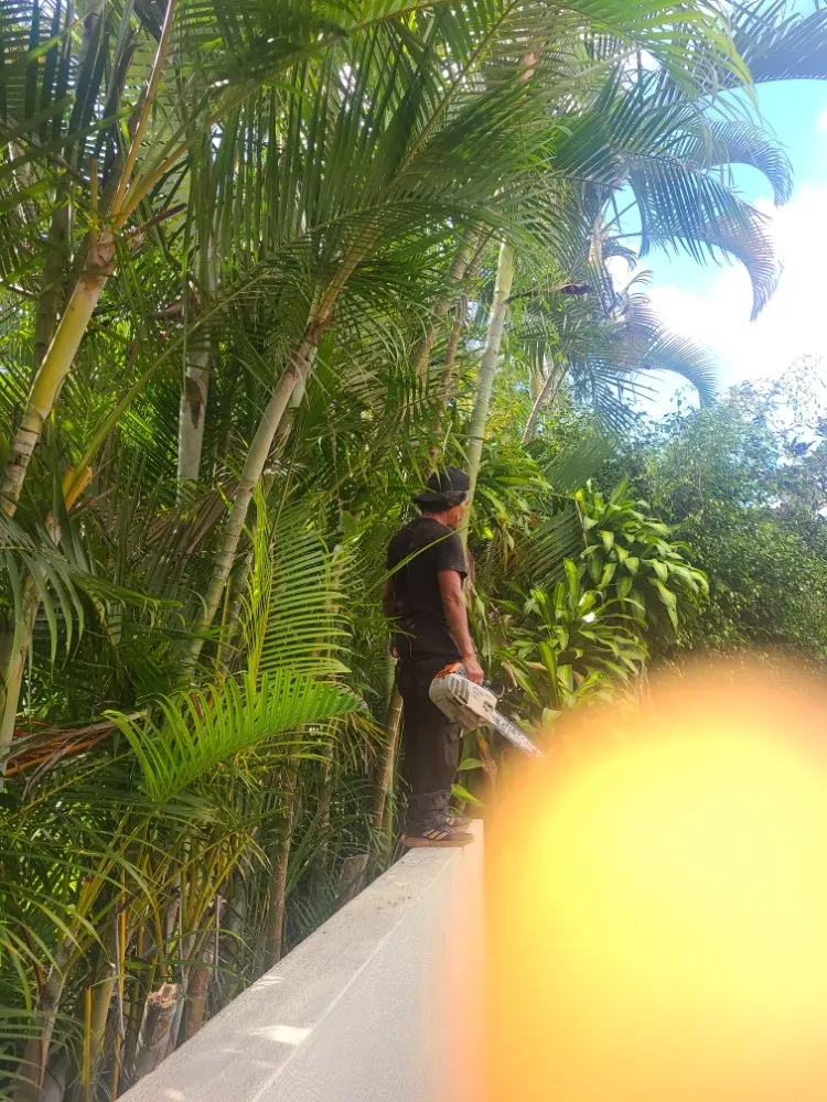 Professional yard maintenance experts serving Mililani, HI - Roy's Lawn Mowing & Yard Services