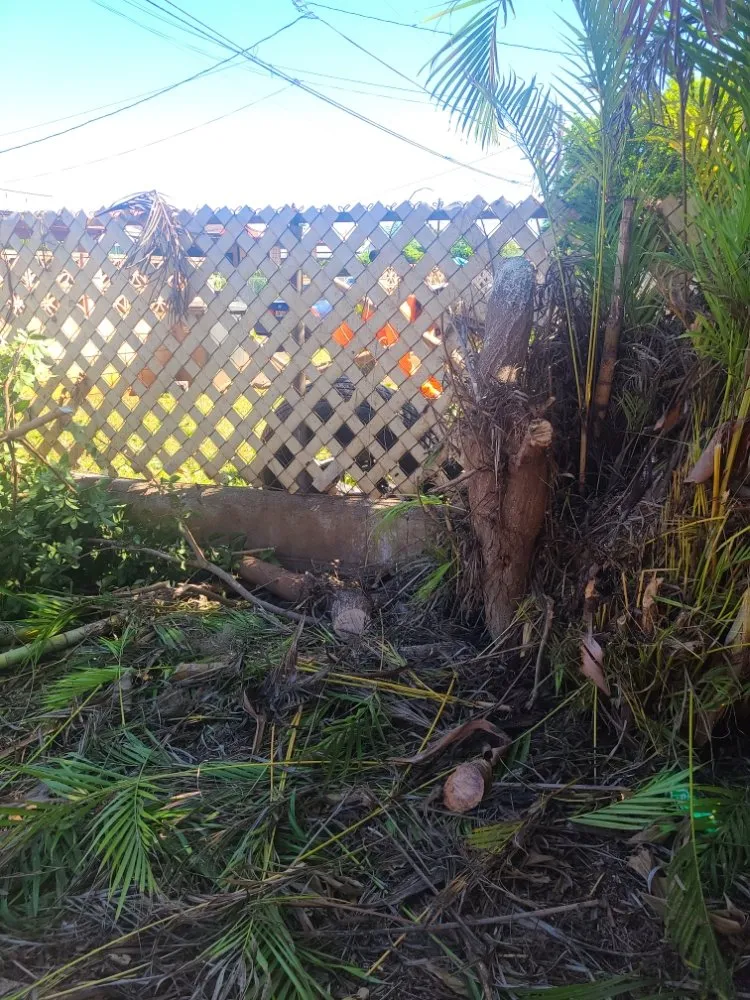 Professional lawn care service in Mililani, HI - Roy's Lawn Mowing & Yard Services