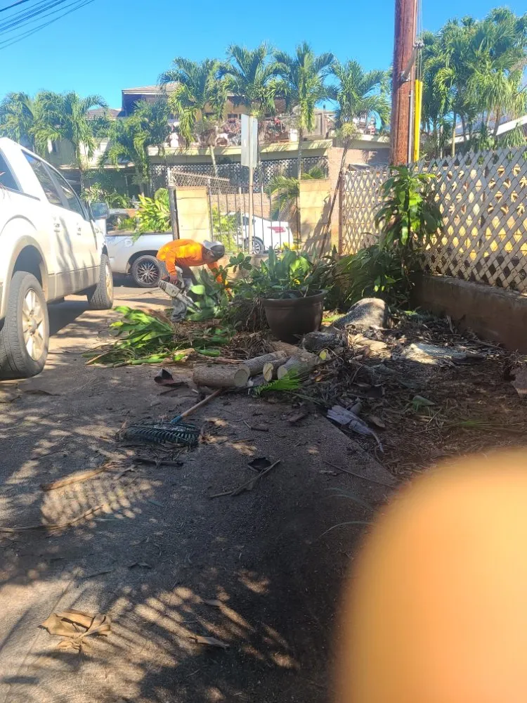 Local outdoor landscaping in Mililani, HI by Roy's Lawn Mowing & Yard Services