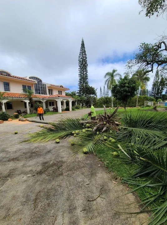 Affordable landscaping services in Mililani, HI - Roy's Lawn Mowing & Yard Services
