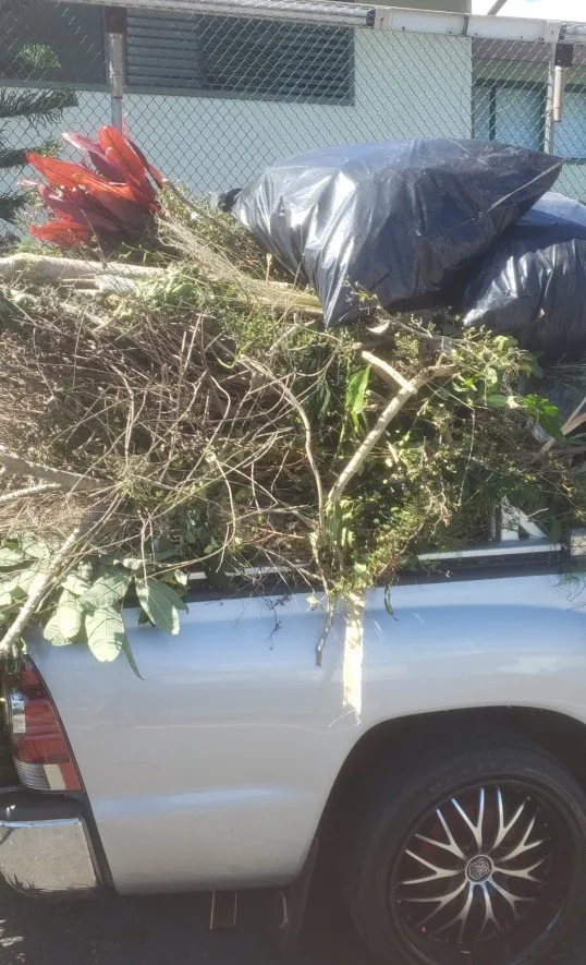 Professional yard maintenance in Mililani, HI by Roy's Lawn Mowing & Yard Services