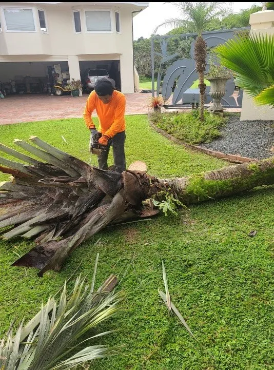 Reliable landscape design for year-round maintenance across Mililani, HI - Roy's Lawn Mowing & Yard Services