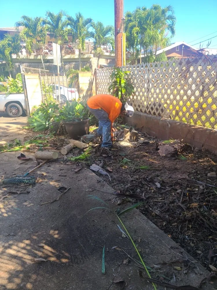 Expert lawn mowing service for homes in Mililani, HI by Roy's Lawn Mowing & Yard Services