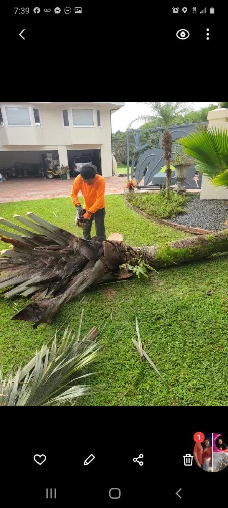 Trusted landscaping services experts serving Mililani, HI - Roy's Lawn Mowing & Yard Services