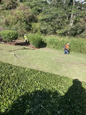 Roy's Lawn Mowing & Yard Services Logo