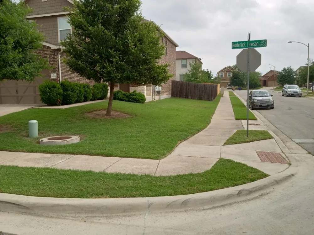 Reliable yard maintenance in Manor, TX by ROY'S LAWN SERVICE