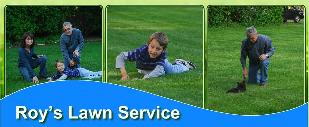 Top-rated lawn mowing service in Wood Dale, IL by Roy's Lawn Service