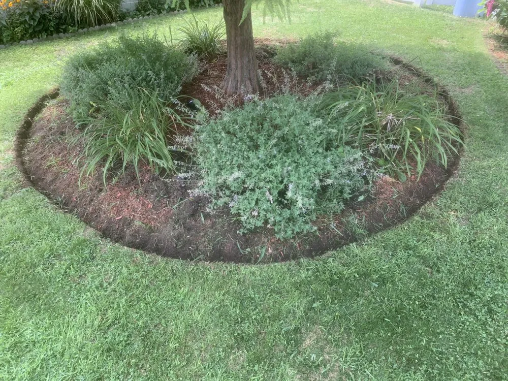 Local landscape design in Cranston, RI - Roy’s Lawncare