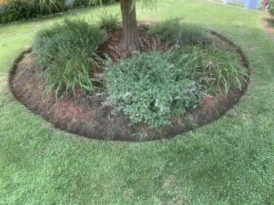 Roy’s Lawncare Logo