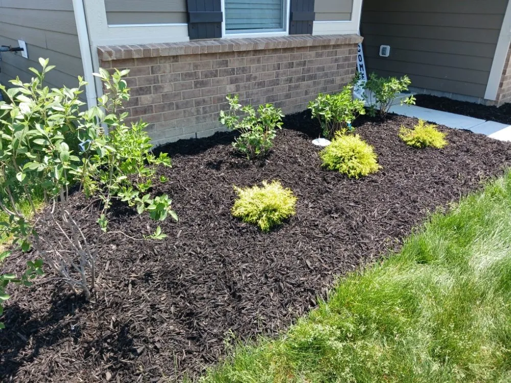 Expert outdoor landscaping for outdoor upgrades in Noblesville, IN by Roy's Mowing Services