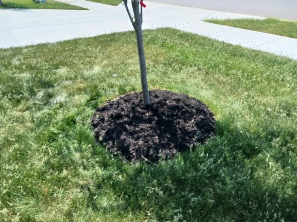 Custom outdoor landscaping experts serving Noblesville, IN - Roy's Mowing Services