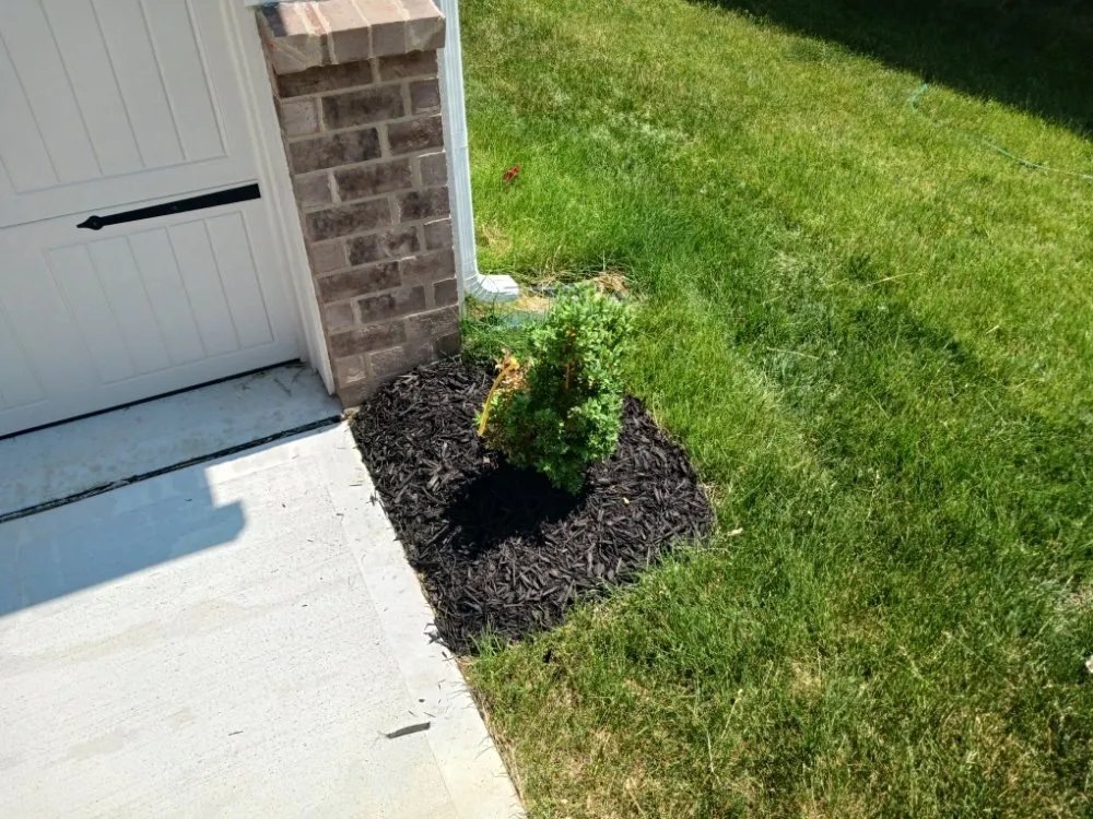 Top-rated landscaping services for outdoor upgrades across Noblesville, IN - Roy's Mowing Services