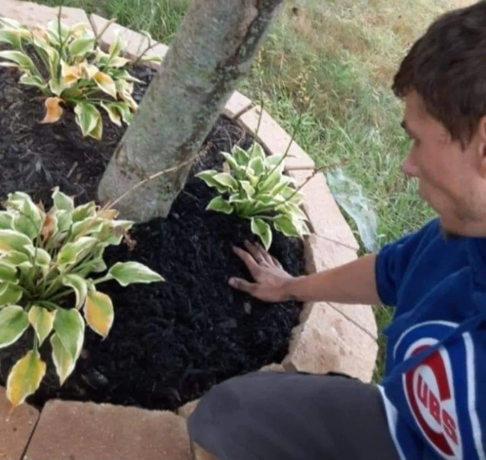 Custom lawn care service for beautiful yards in Noblesville, IN by Roy's Mowing Services